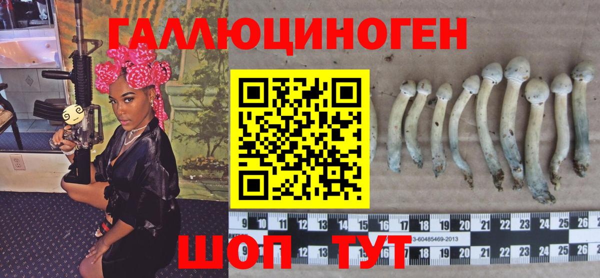Галлюциногенные грибы мухоморы Дмитров