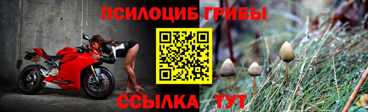 Псилоцибиновые грибы Psilocybine cubensis  Вход с VPN  Дмитров 